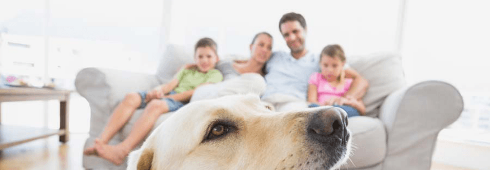 Family on Couch with a Dog